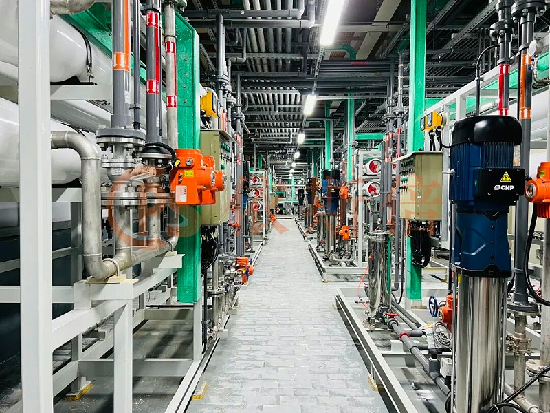 依斯倍受邀参加2025外企高管交流会4 依斯倍受邀参加2025外企高管交流会4